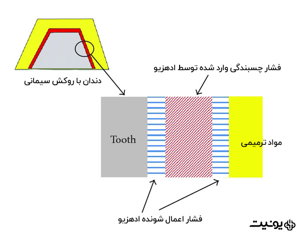 عملکرد ادهزیو چگونه است