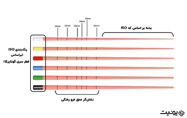 شماره گذاری گوتاپرکاها