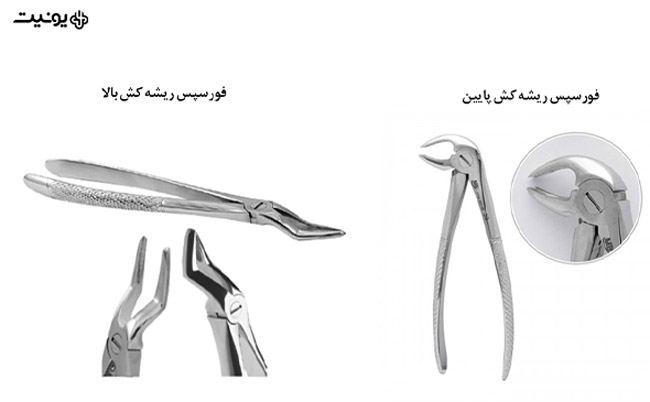 آموزش انواع فورسپس های دندانپزشکی