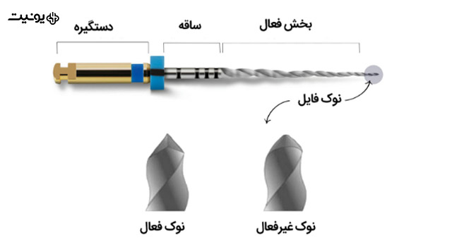 خرید فایل های دندانپزشکی