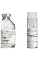کلاژن تیپ 1 ویال 100 میلی لیتری کد 354236 برند corning