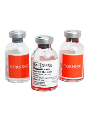 |ماتریژل برند Corning