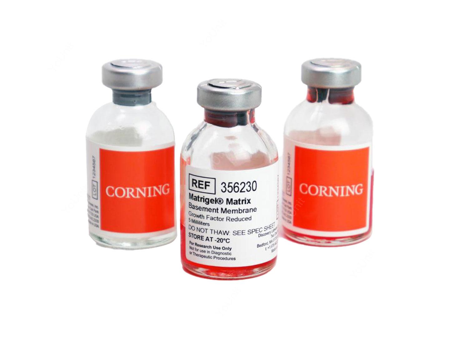 ماتریژل برند Corning