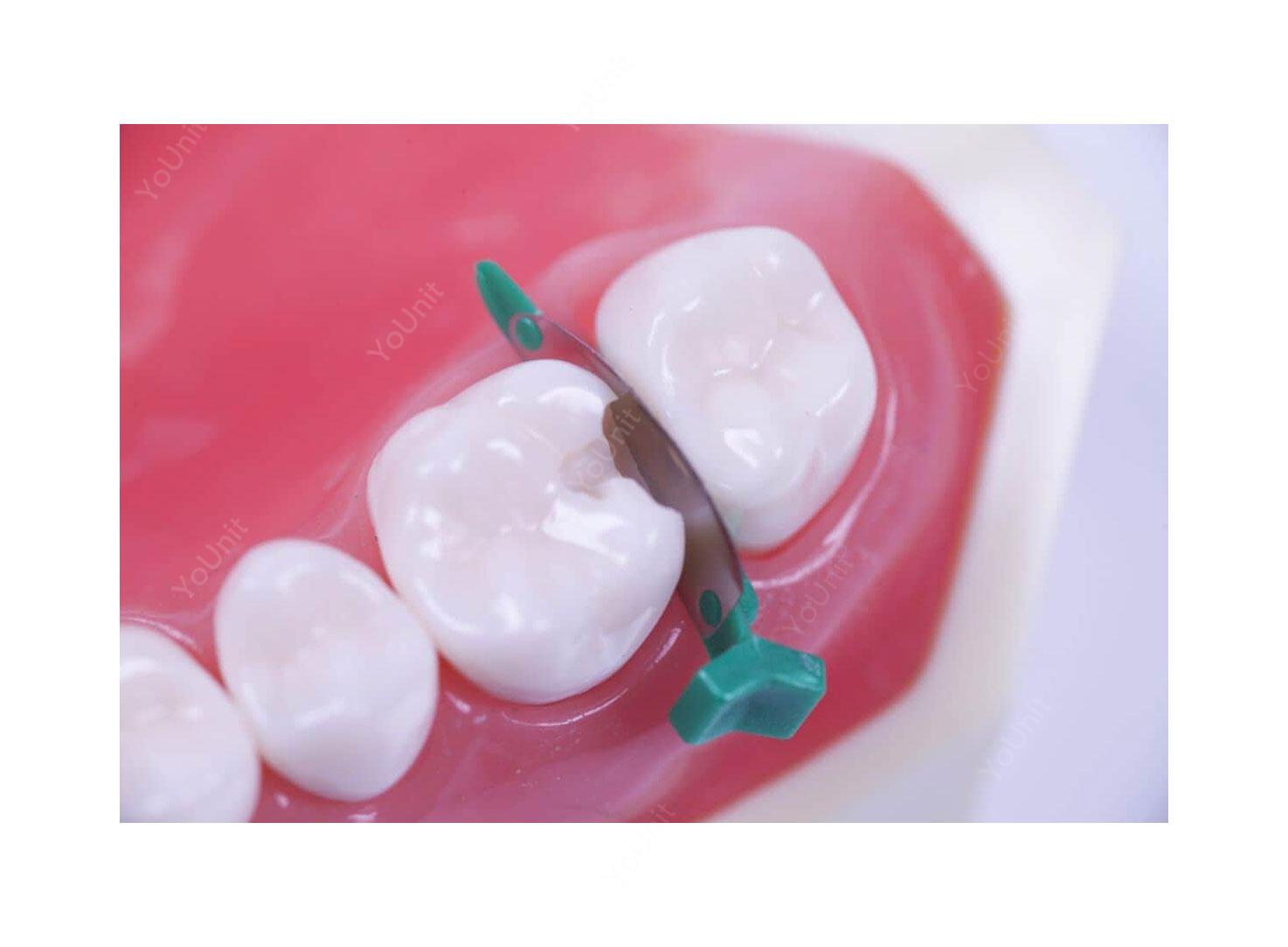 فندرمیت دندانپزشکی برند Directa