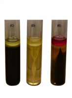 محیط کشت اس آی ام (SIM) برند مرک بسته 500 گرمی