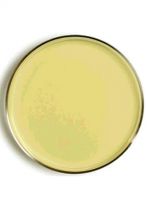 محیط کشت نوترینت آگار برند مرک بسته 500 گرمی