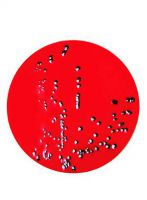 محیط کشت گزیلور لیزین دوکسی کولات (XLD) آگار برند مرک بسته 500 گرمی