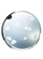 محیط کشت اکسیداز آگار برند مرک بسته 500 گرمی