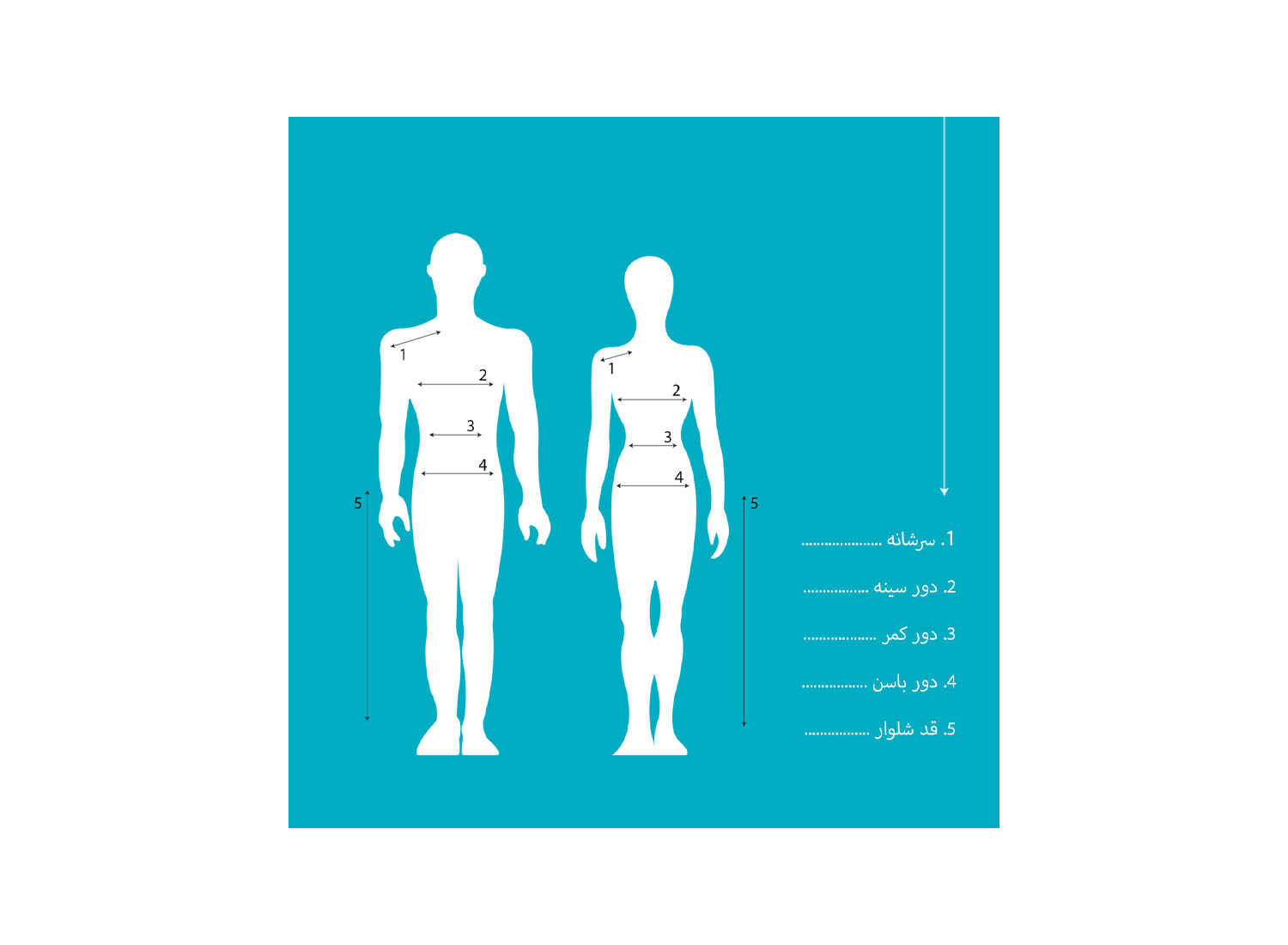 روپوش مردانه یقه سه سانت انگلیسی جلو دکمه دار برند شایگان