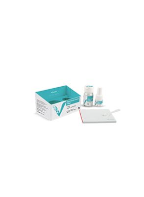 |گلاس آینومر ترمیمی Glass Ionomer Cement (Filling I) برند VINCISMILE