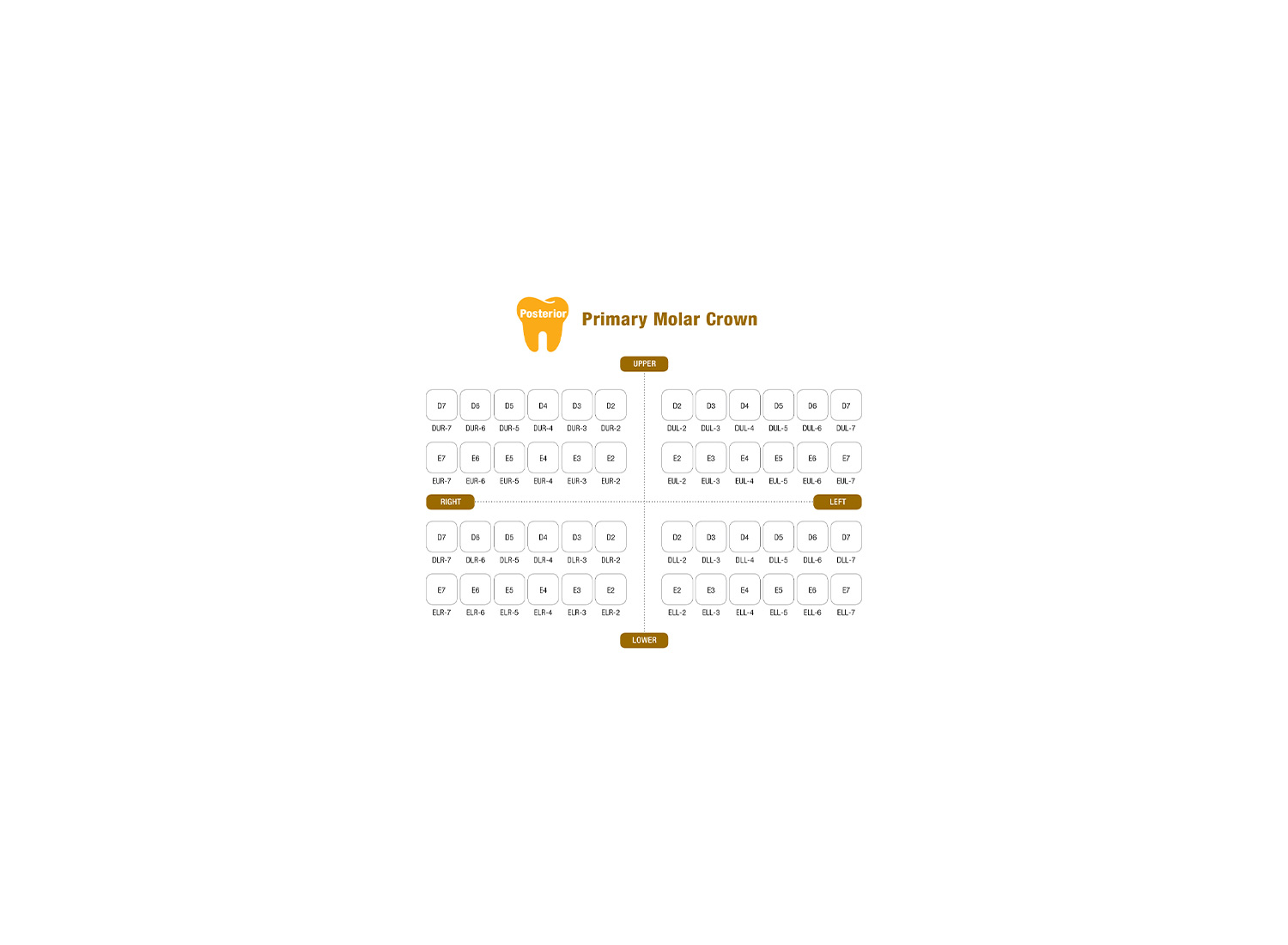 روکش دندان شیری سایز D کودکان I Crown برند Seil Global