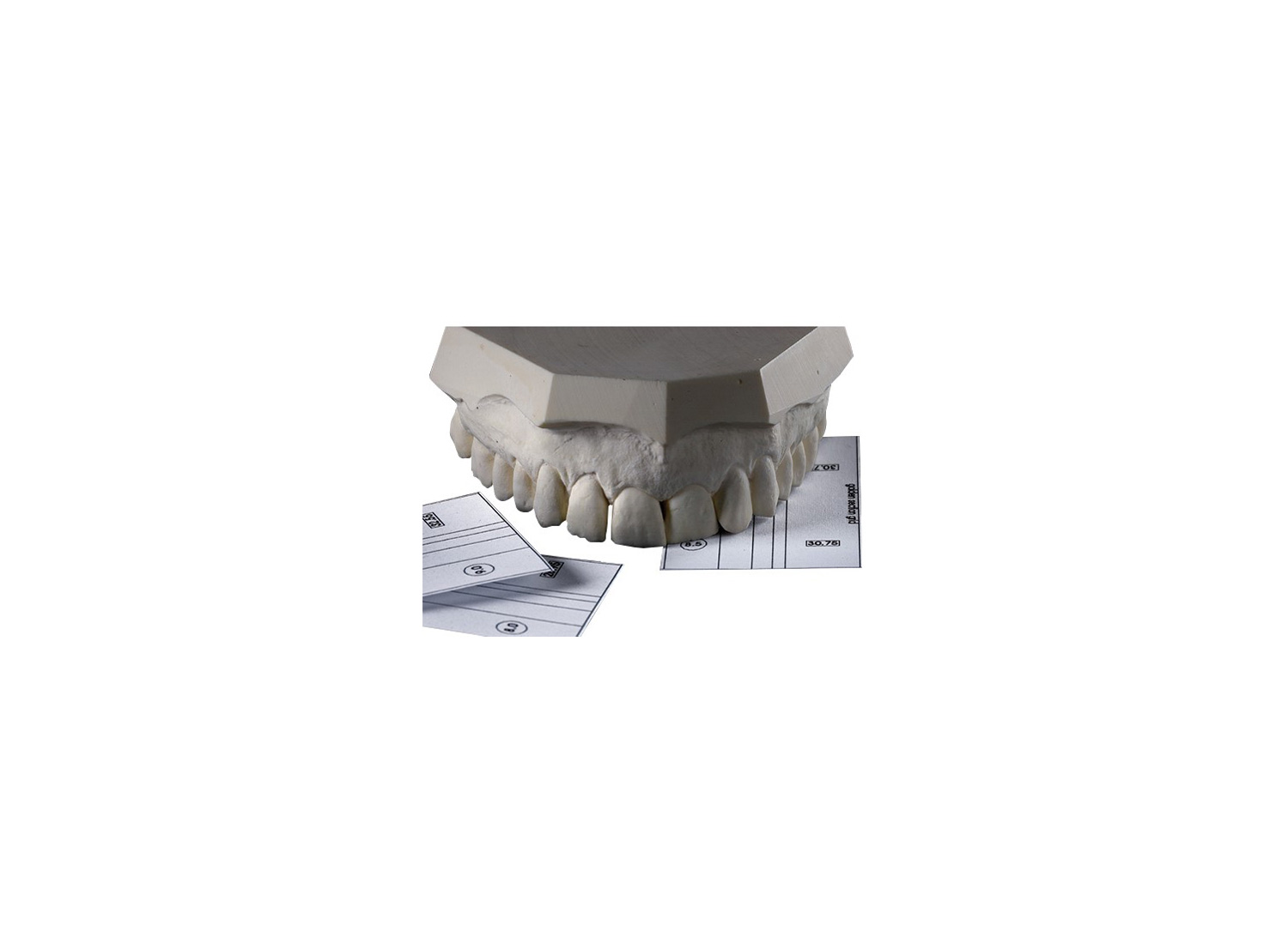 نسبت طلایی برند Smile Line
