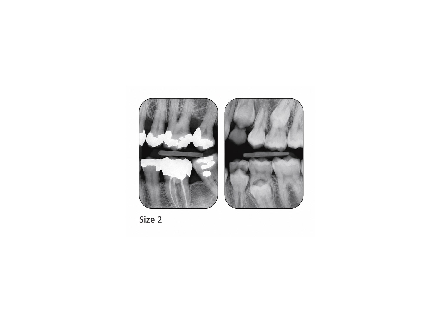 هولدر رادیوگرافی Paro-Bite برند Kerr Dental